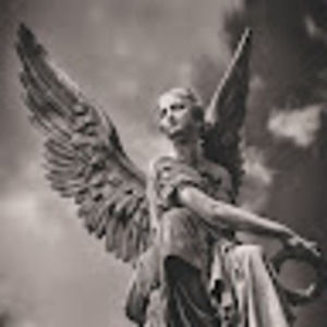 Meet your Posher, Moorea